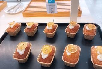 델문도 여행 사진