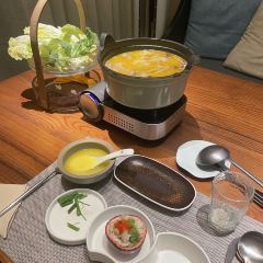 SUN PLANT User Photo