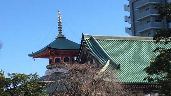 全国でも大仏の祀られているお寺はそお多くはないけれど、こちら