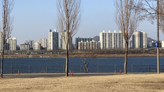 잠실 한강공원은 다른 유명한 한강공원에 비해 사람이 많