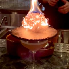 Bar Trigona User Photo