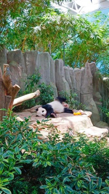 Fun attraction in Singapore together wit - Singapore Travel