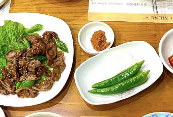비원 여행 사진