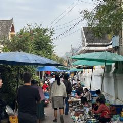 루앙파방 새벽시장 여행 사진