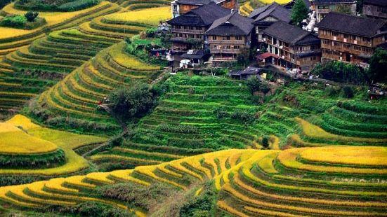 best time to go in Longji Rice