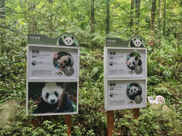 Panda Valley Tickets [2026] - Promos, Prices, Reviews & Opening