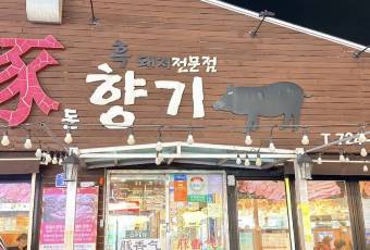 돈향기 여행 사진