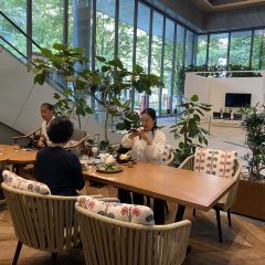 THE FRONT ROOM 여행 사진