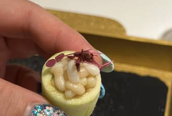 R-HAAN用戶圖片