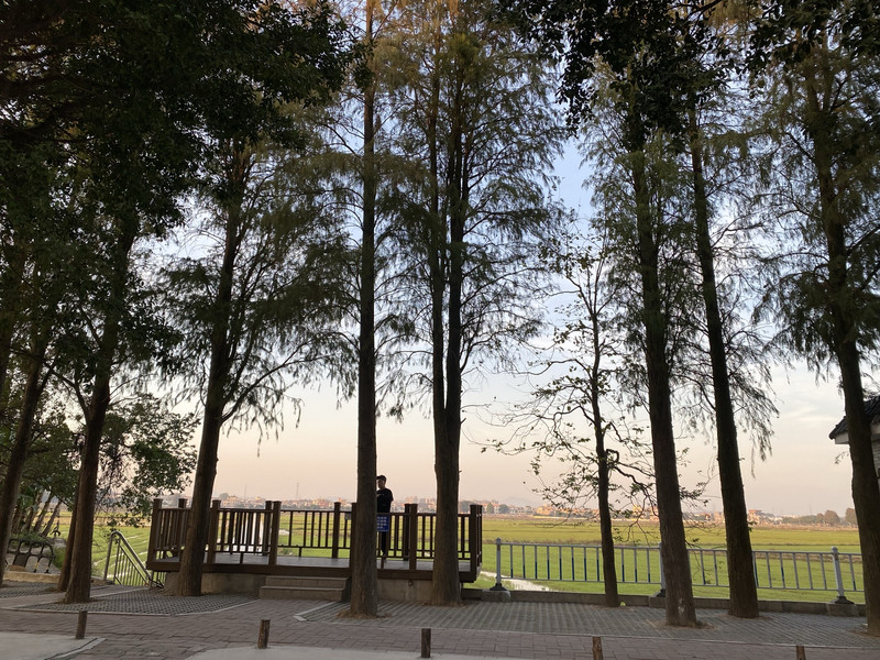 崖口村用戶評價