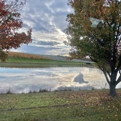Oakridge Wines User Photo