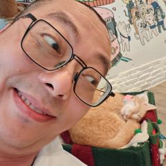 Caturday Cat Cafe User Photo