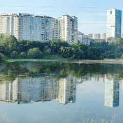 美麗廚餐廳（棕櫚泉店）張用戶圖片