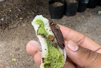 Restaurant Sola User Photo