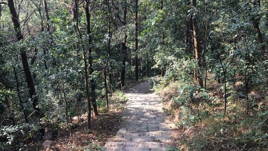 Dafu Mountain Forest Park is n