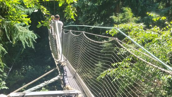 The tree top walk there was re