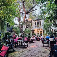 Fern Forest Café 여행 사진