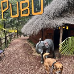 PUBU User Photo