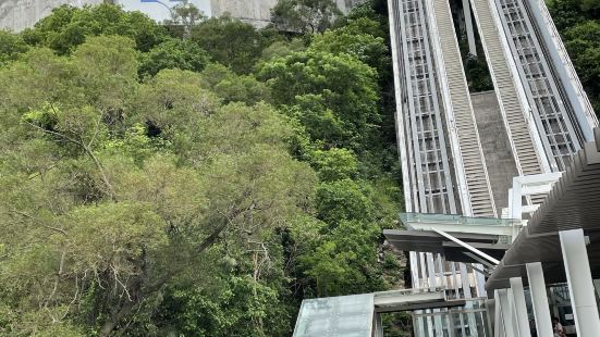 想飽覽整個氹仔觀景，非常推介大家到這裡，可以免費坐特別的電梯