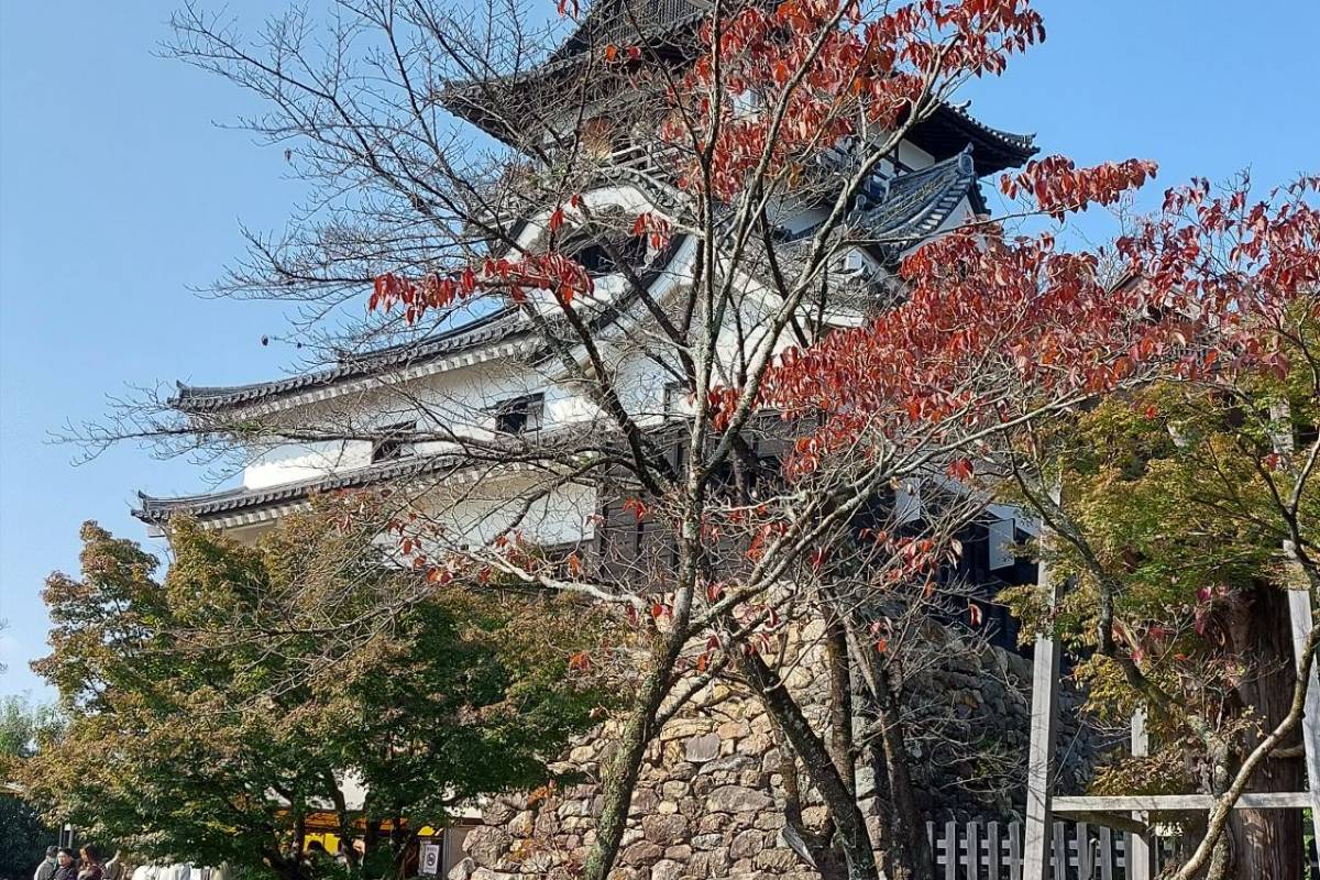 名古屋紅葉 | 5. 犬山城 & 犬山城下町