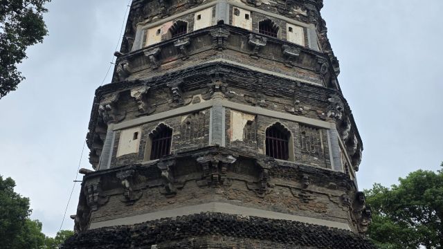 review picture