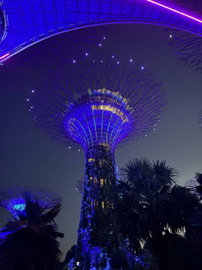 Tips For Exploring OCBC Skyway