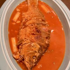 AWU YELLOW RIVER COMMON CARP 여행 사진