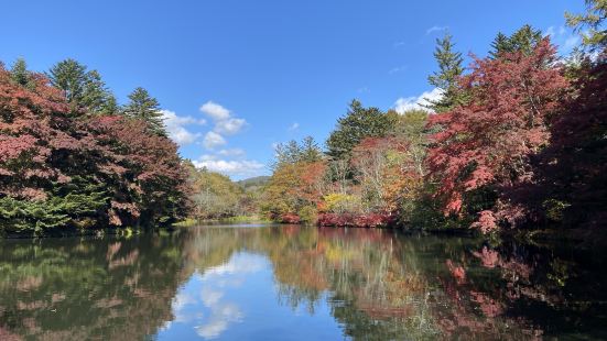 雲場池是輕井澤最著名的賞楓勝地，一到秋天，各地的遊客都愛到這