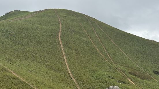 港版抺茶山💚擁有美麗的山徑✨沿路俯瞰元朗鄉郊🌳與城市🏠