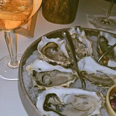 The Cocoon RESTAURANT & BAR User Photo