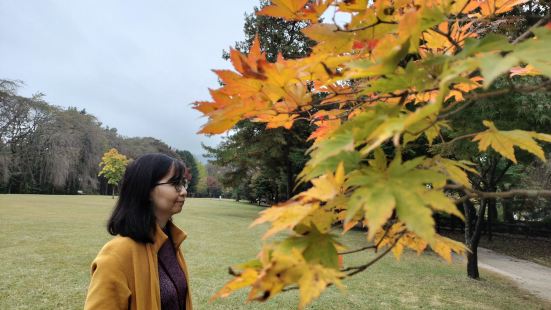 Nami Island, my favourite plac