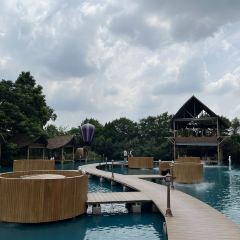 Bubble in the Forest Cafe張用戶圖片
