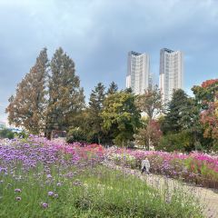 007라이브 User Photo