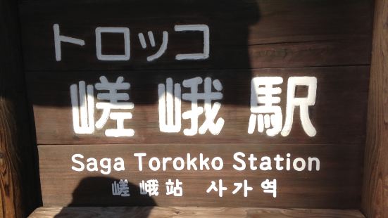 鉄道で降っていきました！下には川を渡る船が見えたり、桜の時期