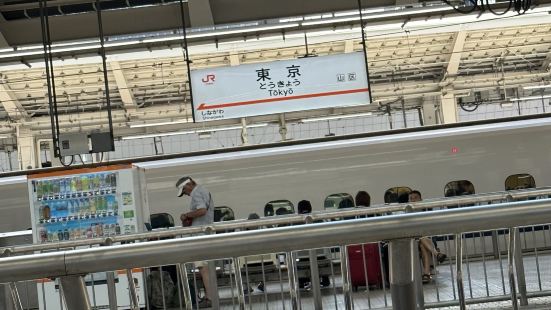 東京駅はとても広いですが、案内板がとても分かりやすく、迷うこ