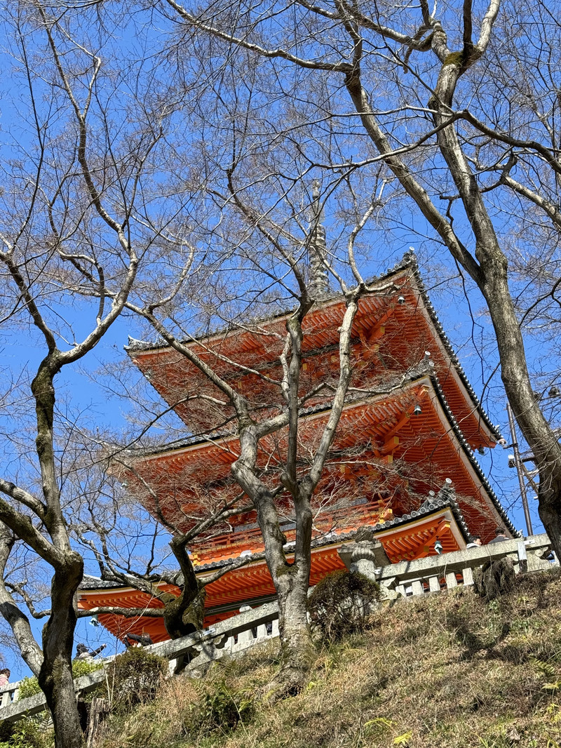 清水寺用戶評價