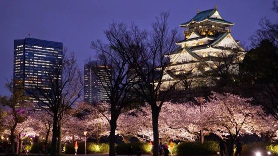 大阪城西之丸庭園在以賞櫻勝地著稱的大阪城中，這裡的櫻花以染井