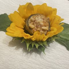 SUN PLANT User Photo