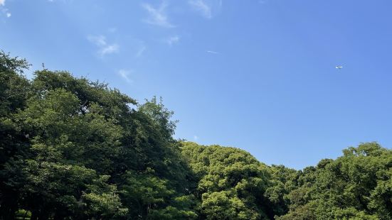 代々木公園でピクニックをしました🧺梅雨時期だったので紫陽花