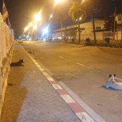 Thung Sri Muang Night Market 여행 사진