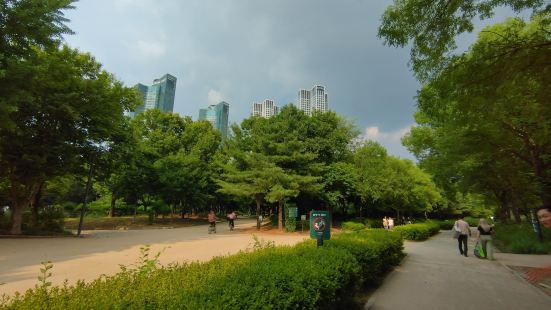 Seoul forest park is an oasis 