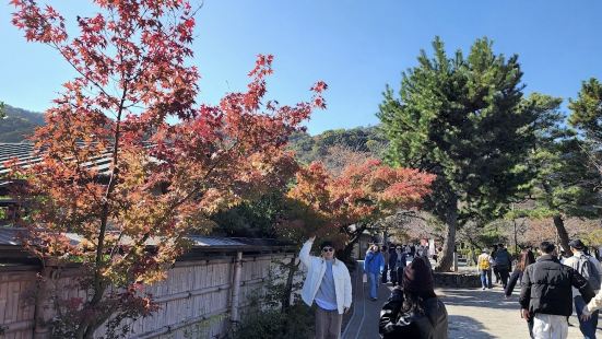 好天氣的週日，到嵐山賞楓、踏青😃😃從嵐山車站越過渡月橋，