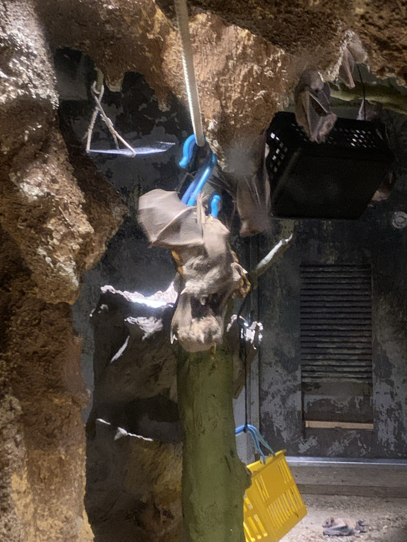 天王寺動物園用戶評價