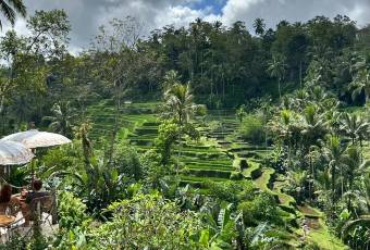 TIS Cafe Ubud user photo