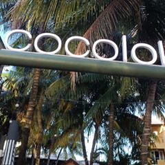 Cocoloko User Photo