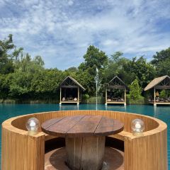 Bubble in the Forest Cafe張用戶圖片