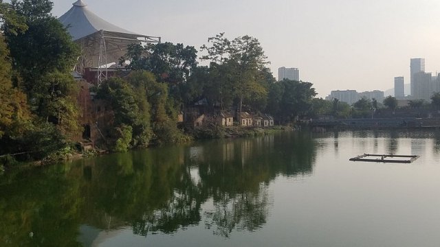 review picture