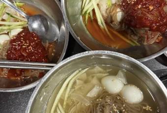 돈향기 여행 사진