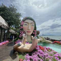 3 Mermaids張用戶圖片