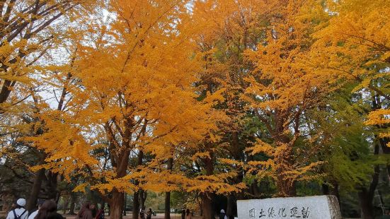 Lovely park in the city! It is